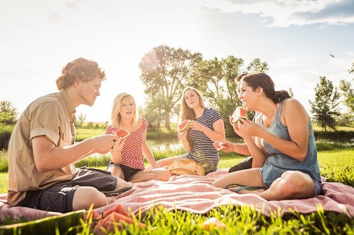 Das Foto zeigt 4 junge Leute beim Picknick im Park