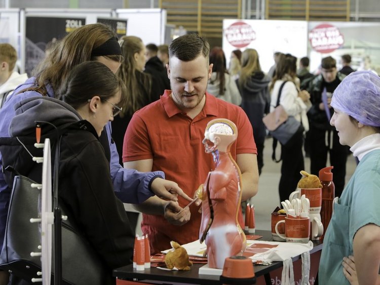 Impressionen von der Lehrstellenbörse Zehdenick 2025 Das Foto zeigt den Messestand des ukrb. Zwei Personen erklären zwei Besuchern den menschlichen Muskelapparat an einem ModelMenschenmodelmit 5 Personen